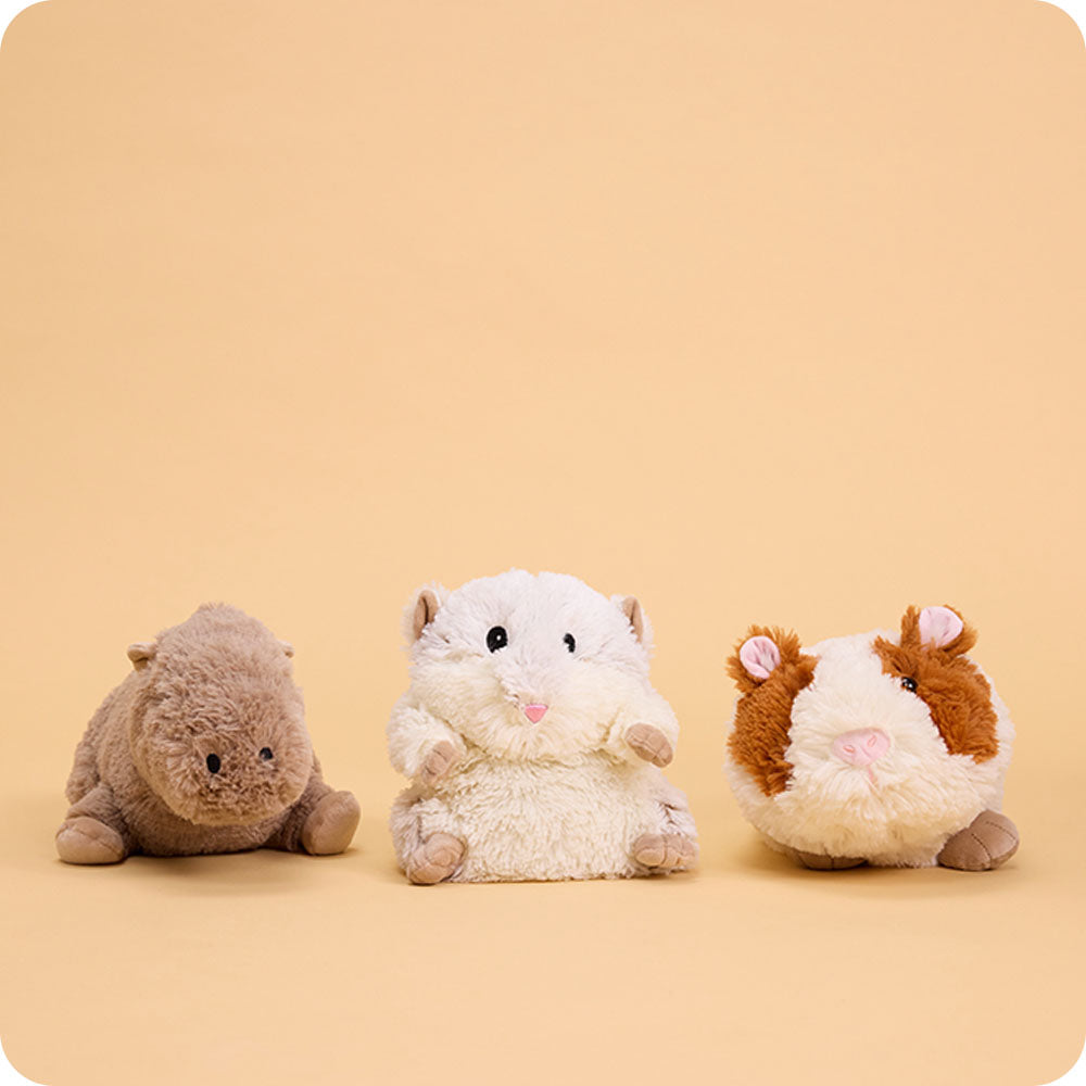 Guinea Pig Warmies